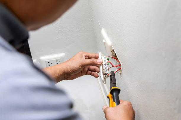 Best Ceiling Fan Installation Electrician  in Altavista, VA