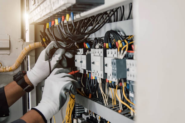 Best Electric Panel Repair  in Altavista, VA